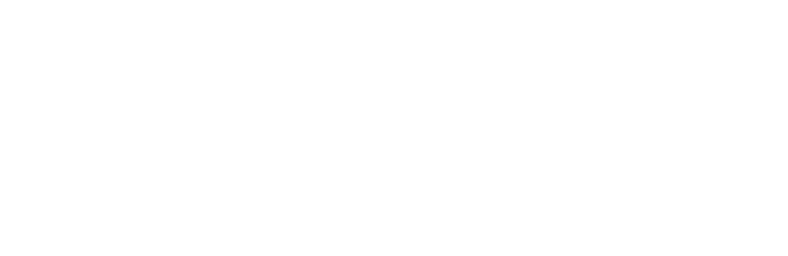 Sassuo inc